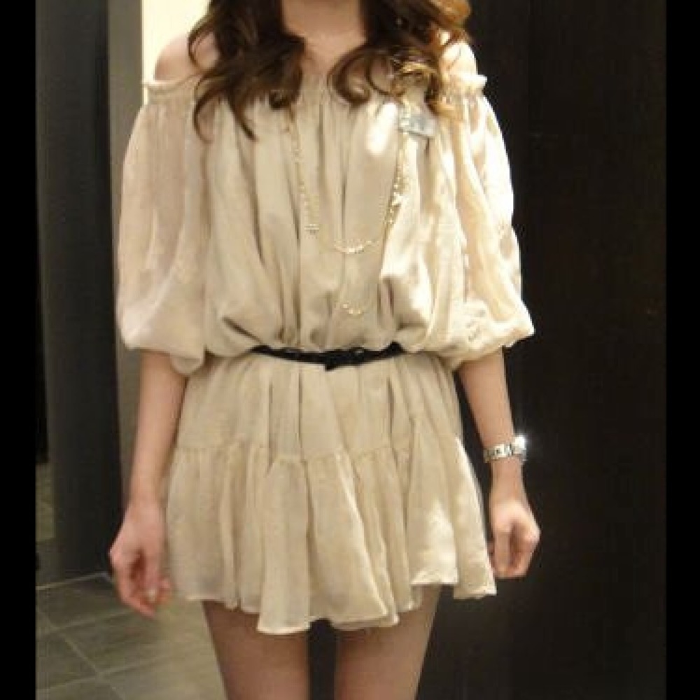 NWOT Embroidered chiffon dress